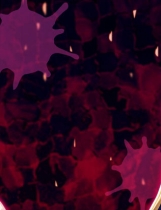 A0831 - 黑兽2‧改 Build.12627227 STEAM+全DLC+外传附录+漫画 免安装中文版[5.75GB]