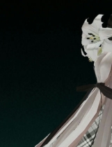 A1113 - 枪灵少女 2 Build.12797272-1.11b+新角色+艾莲娜+雪乃+DLC 免安装STEAM中文版[22.42GB]